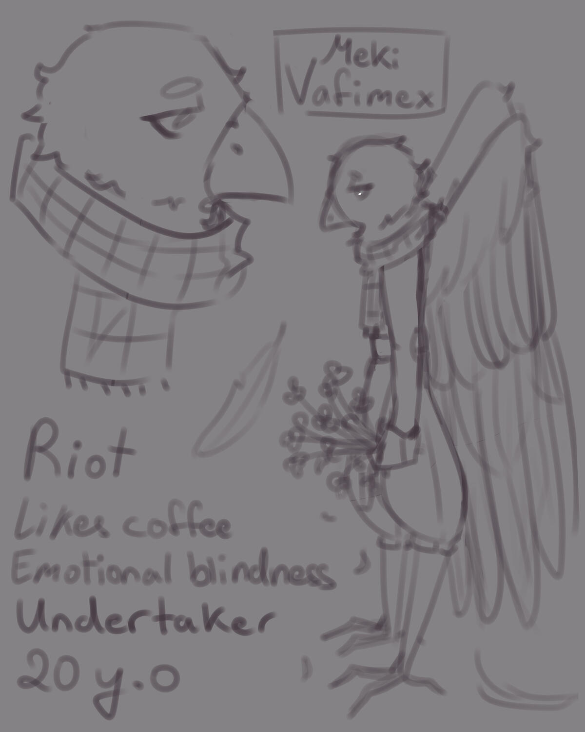 Riot the crow