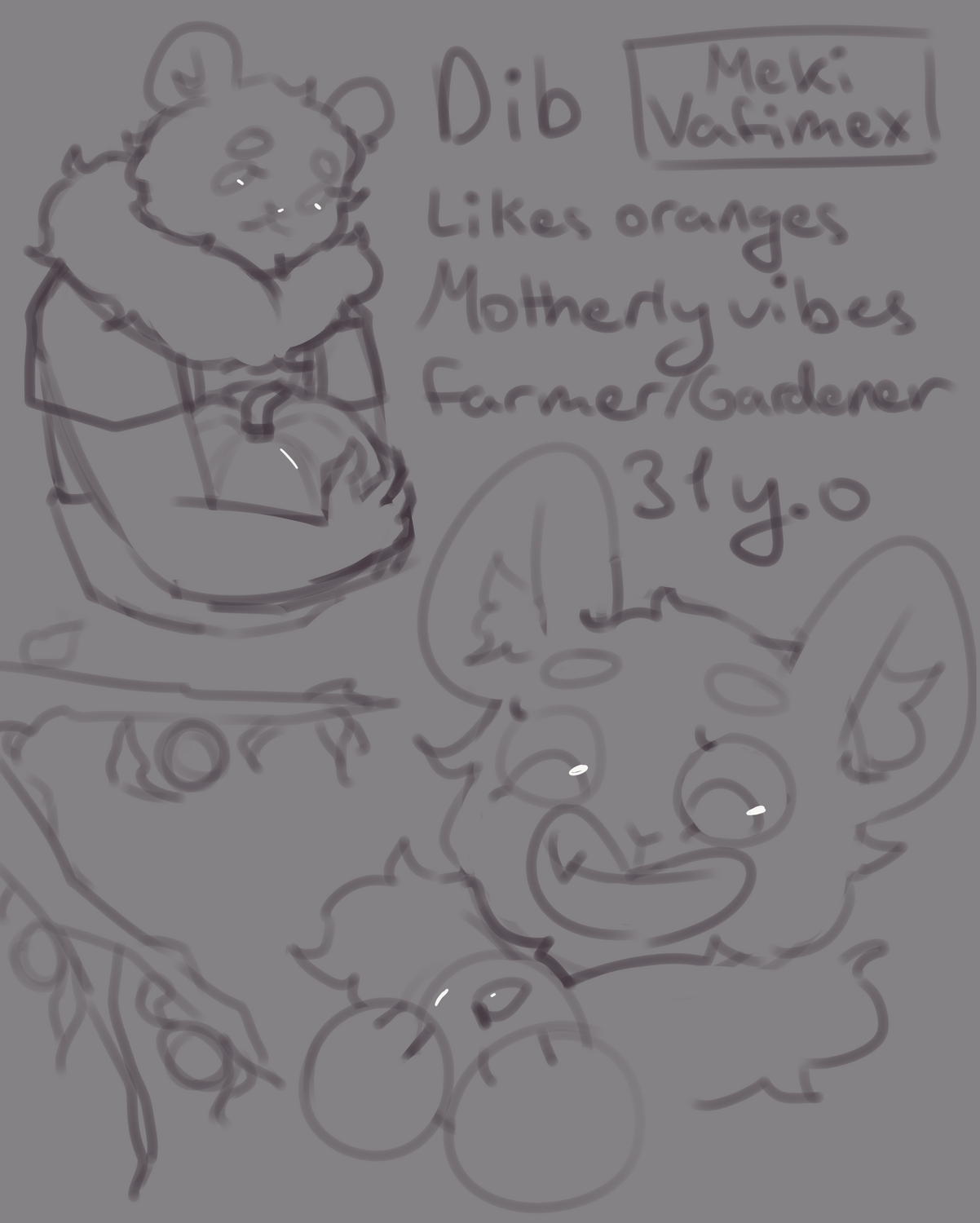 Dib the bear